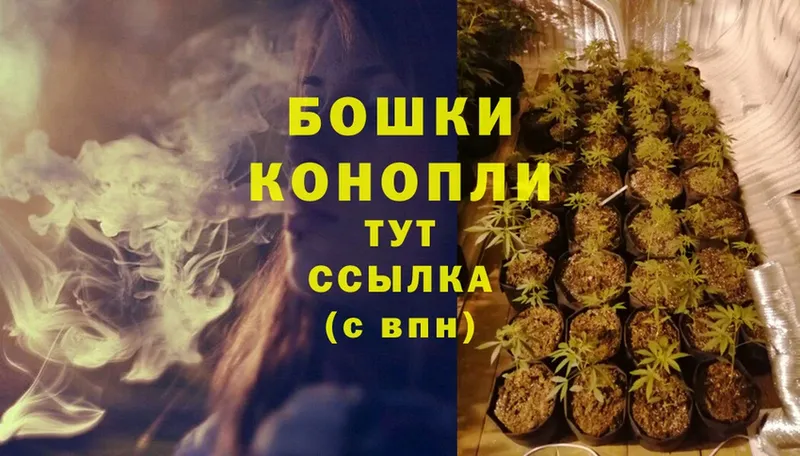 купить наркоту  Великие Луки  Шишки марихуана SATIVA & INDICA 